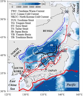 Satellite-detected phytoplankton blooms in the Japan/East Sea during the past two decades: Magnitude and timing